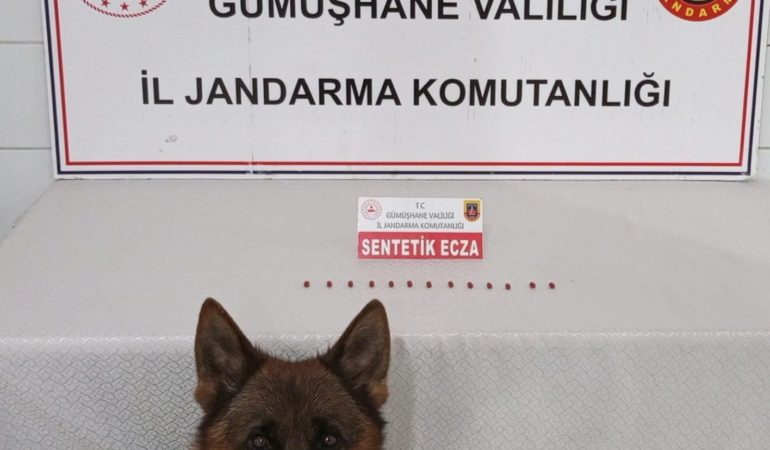 Gümüşhane’de Uyuşturucu Operasyonu: 1 Şüpheli Yakalandı