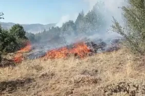 3945-gumushanede-cobanin-yaktigi-ates-yangina-sebep-oldu