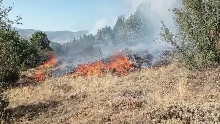 Gümüşhane’de Çobanın Yaktığı Ateş Orman Yangınına Sebep Oldu