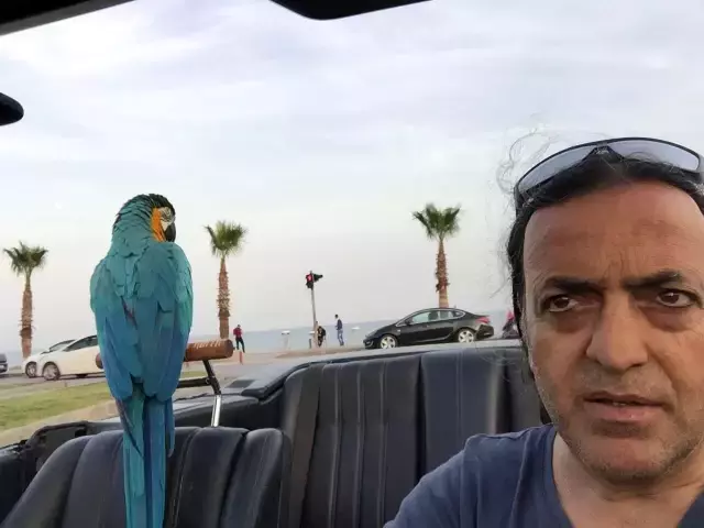 Turgut Özal'ın papağanı yine çalındı