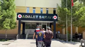 bayburt-ta-saman-balyasi-hirsizligina-karisan-18938756_amp.jpg