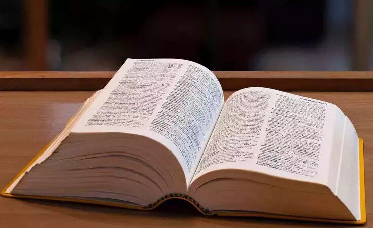 Sözlüğe yeni kelimeler eklendi: Skibidi, delulu, tradwife