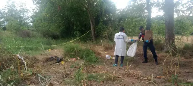 Düzce'de mısır tarlasında insan kafatası ve kemikleri bulundu