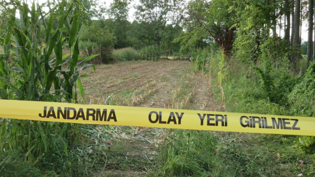 Düzce'de mısır tarlasında insan kafatası ve kemikleri bulundu