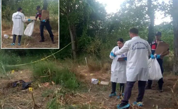 Düzce’de mısır tarlasında insan kafatası ve kemikleri bulundu