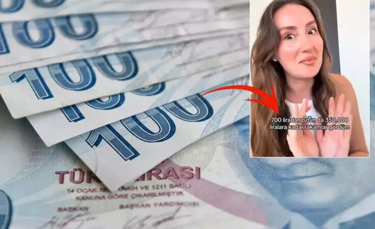 E-Devlet’te birikmiş paranız olabilir: 2 adımda bunu öğrenebilirsiniz