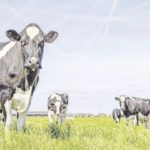 il-bazinda-tesvikli-projeler-netlesiyor-3dny_cover