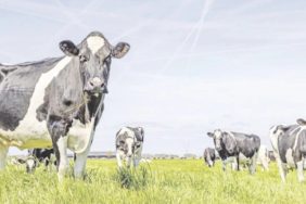 il-bazinda-tesvikli-projeler-netlesiyor-3dny_cover