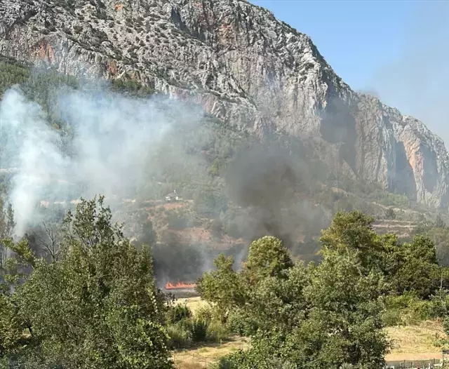 Kara yolunda araçta çıkan yangın ormanlık alana sıçradı