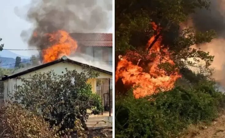 Yunanistan’da orman yangını kabusu! Bilanço ağırlaşıyor