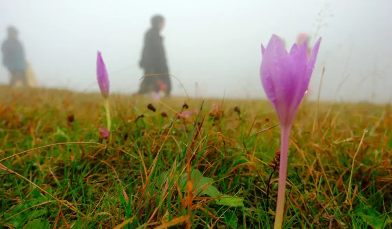 Sis Denizi ve Gün Batımıyla Çetlüce Yaylası Dağcıların Gözdesi Oldu