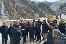 480503855-3996711997314645-5052533984582807489-n-1740860625