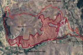 WhatsApp Image 2025-09-08 at 10.02.46