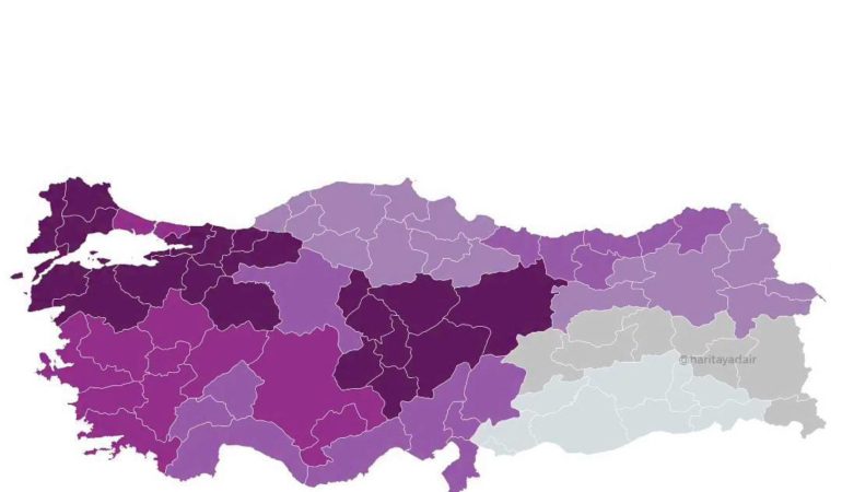 Türkiye Zeka Haritası Yayınlandı: Doğu Karadeniz’in Yükselen Yıldızı Gümüşhane