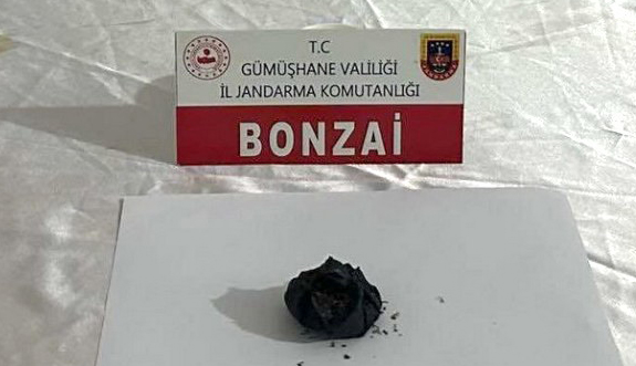 Trabzon’dan Gümüşhane’ye Uyuşturucu Getirirken Yakalandı