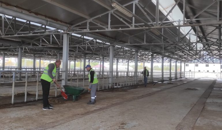 Üreticilerin Gözbebeği: Kelkit Hayvan Pazarı Yeniden Faaliyette