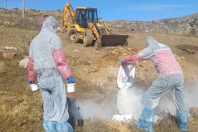 8902-kurtunde-6-koye-hayvan-giris-cikisi-yasaklandi