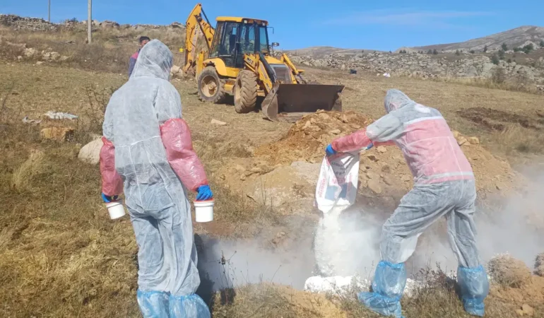 Kürtün’de 6 Köyde Hayvan Hareketlerine Kısıtlama Getirildi