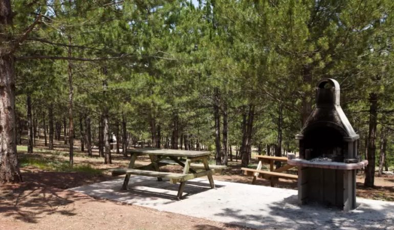 Orman İşletme  Gelir Getirici Tesisler İçin Kiralama İhalesine çıkıyor