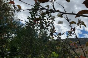 WhatsApp Image 2025-10-02 at 20.33.27