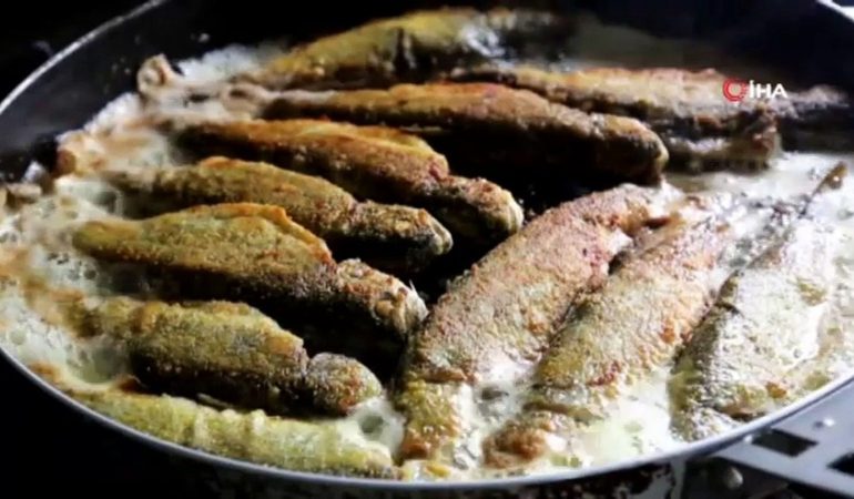 Gümüşhane “Alabalık Vadisi”yle Dikkat Çekiyor