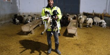 ERZİNCANLI ÜRETİCİ YÜZDE 50 HİBE DESTEĞİYLE 8 MİLYON TL’LİK ÇİFTLİK KURDU