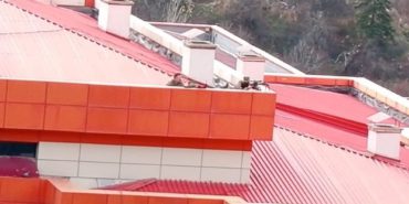 6e736547-35e1-42c3-a87a-082f51c7abf4 copy copy