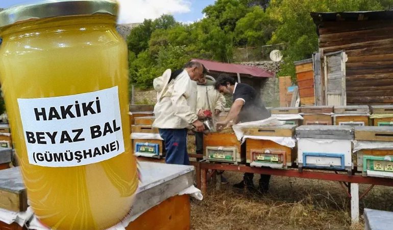 GÜMÜŞHANE ARICILARDAN  SAHTE BAL UYARISI