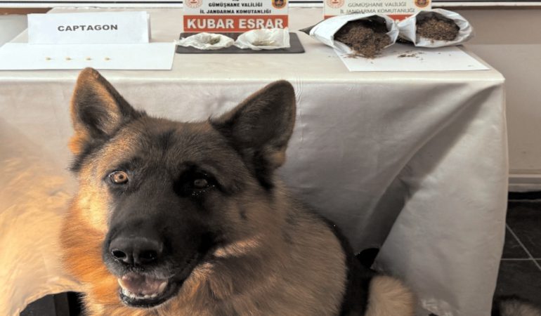 Gümüşhane’de Jandarmadan Uyuşturucu Operasyonu