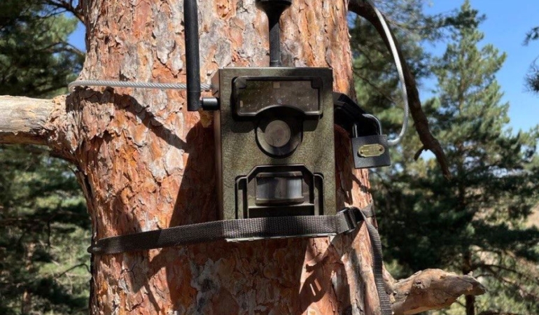 DAĞ TAŞ FOTOKAPAN!