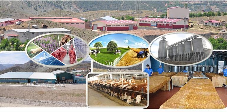 Gümüşhane’ye Dev Kırsal Kalkınma Desteği