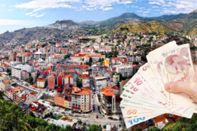 Untitled-2-copy-4-e1765456690880