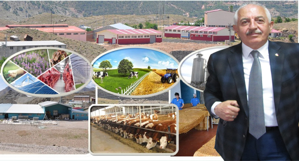 Soğuk Kış Günlerinde Sıcak Müjde