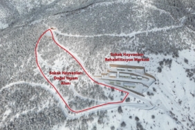 e9f21baa-1b86-4e2c-b8a4-aa1a70960687