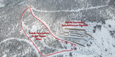 e9f21baa-1b86-4e2c-b8a4-aa1a70960687