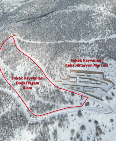 e9f21baa-1b86-4e2c-b8a4-aa1a70960687