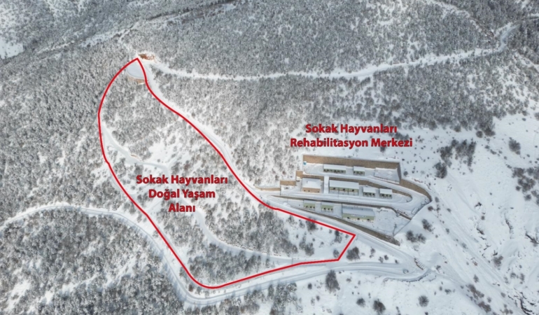 Belediyeden Sert Yanıt: “Barınak Üzerinden Algı Operasyonu Yapılıyor”