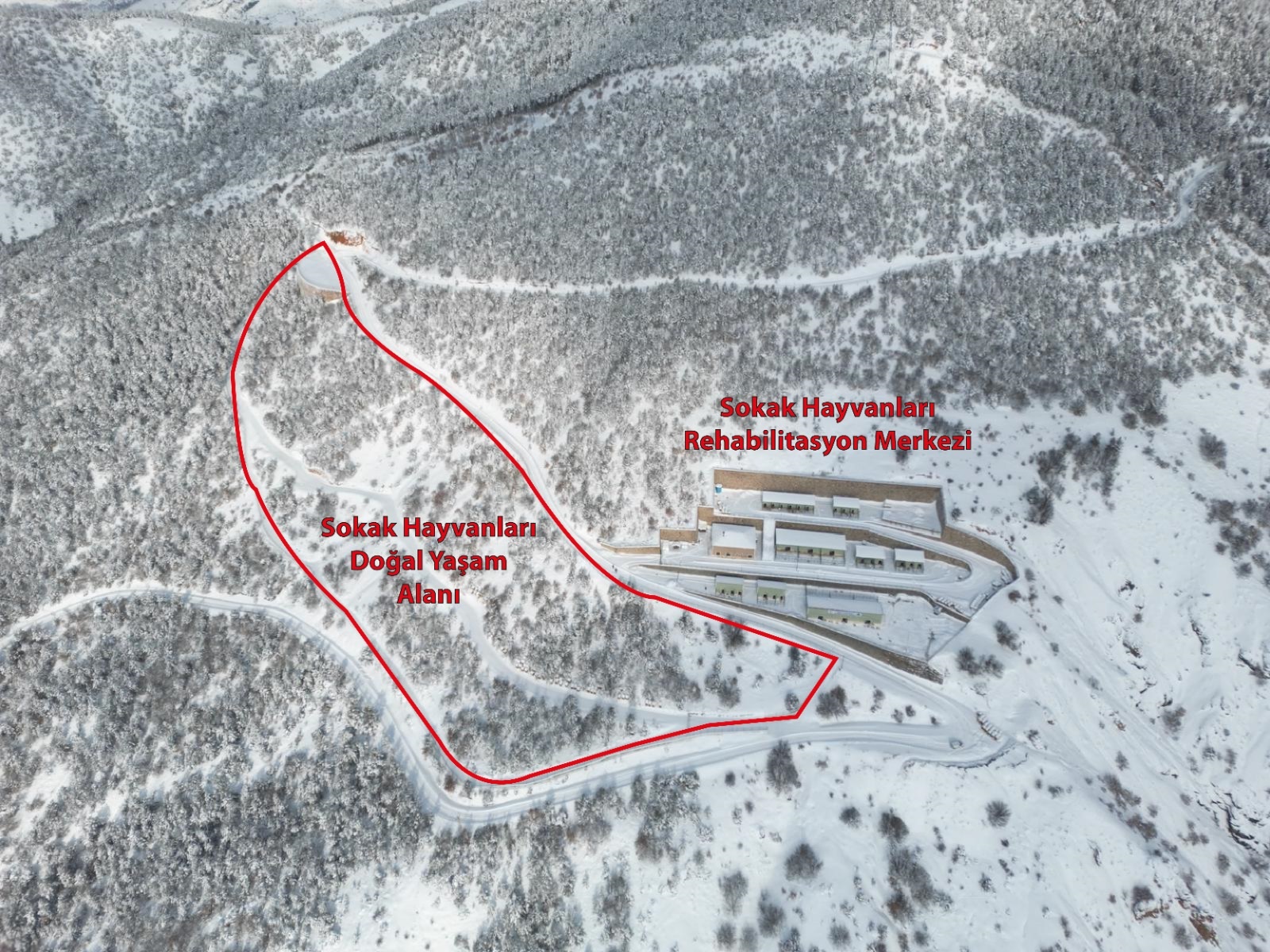 e9f21baa-1b86-4e2c-b8a4-aa1a70960687