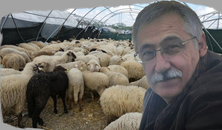 Prof. Dr. Zafer Ulutaş “Hayvancılık Güçlü Söylemlerle Değil, Planlı Politikalarla Ayağa Kalkar”