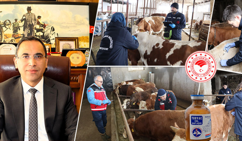 Gümüşhane’de Şap Aşıları Başlıyor: Üreticiler Endişeli