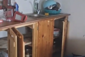 BU KEZ ÇATIDAN GİRDİ YAYLA EVLERİNE ZARAR VERMEYİ SÜRDÜREN AYILAR BÖLGEDE İLK KEZ BİR YAYLA EVİNE ÇATIYI PARÇALAYARAK GİREREK EVE BÜYÜK ZARAR VERDİ