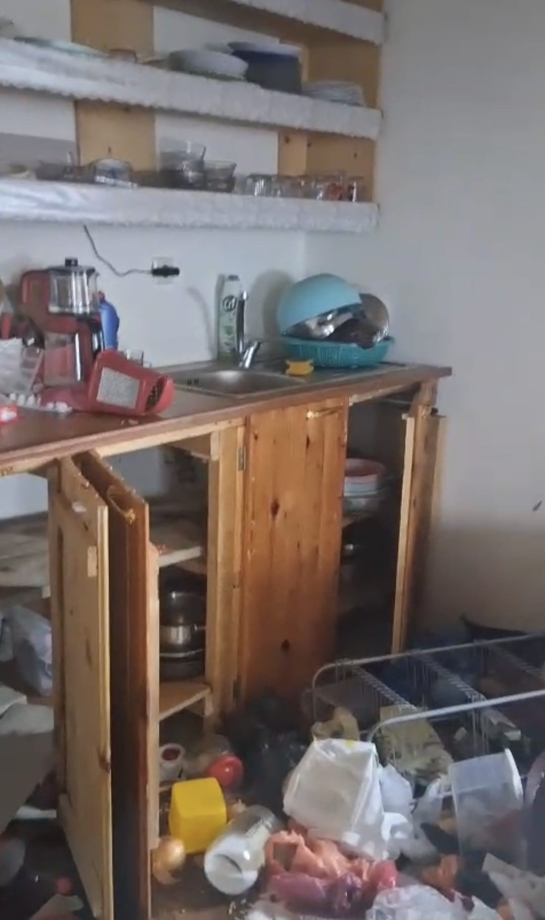 BU KEZ ÇATIDAN GİRDİ YAYLA EVLERİNE ZARAR VERMEYİ SÜRDÜREN AYILAR BÖLGEDE İLK KEZ BİR YAYLA EVİNE ÇATIYI PARÇALAYARAK GİREREK EVE BÜYÜK ZARAR VERDİ