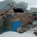 GÜMÜŞHANE YAYLALARINDA AYI DEHŞETİ DEVAM EDİYOR AYILAR YÜCEBELEN YAYLASI'NDA ÇATIDAN GİRDİĞİ YAYLA EVİNİ KULLANILAMAZ HALE GETİRDİ