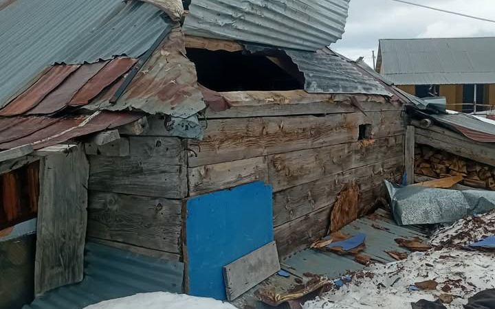 Yayla Evine Çatıdan Giren Ayı Ortalığı Savaş Alanına Çevirdi