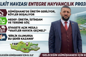 Firefly_Gemini Flash copy