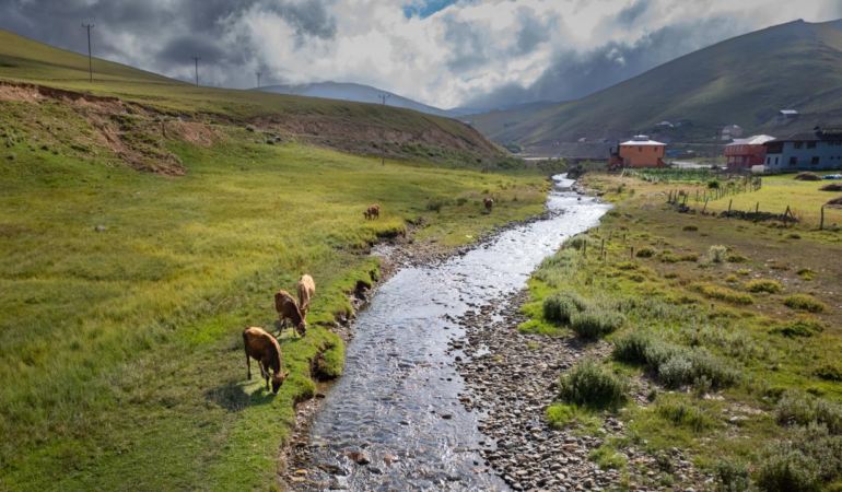Gümüşhane’de Mera ve Yaylaklar İçin Yeni Dönem: Denetimler Sıkılaşıyor
