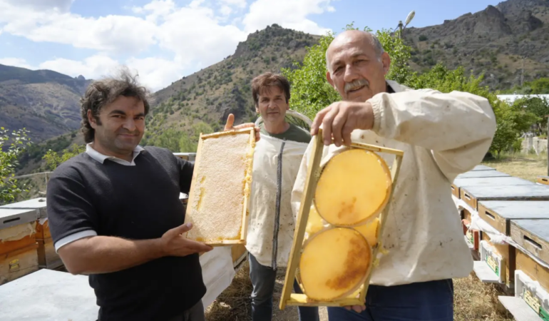 Gümüşhane’de Arıcılığa Sıkı Düzenleme