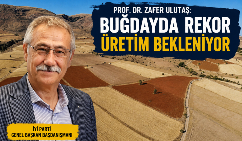 Prof. Dr. Zafer Ulutaş: “Buğdayda Rekor Üretim Var, Ancak Çiftçi Hâlâ Endişeli”