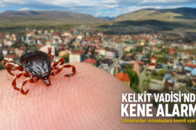 kaene