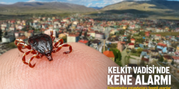 kaene